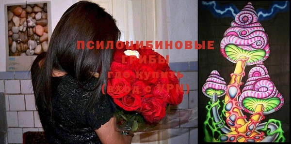 jwh Заволжье