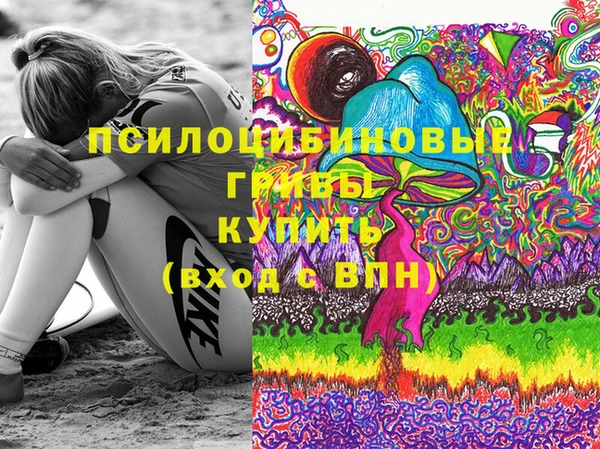 МДМА Заводоуковск