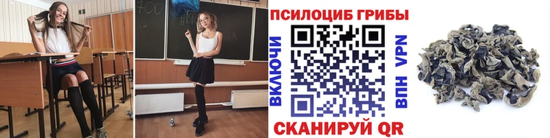 цены наркотик  Хасавюрт  Галлюциногенные грибы ЛСД 