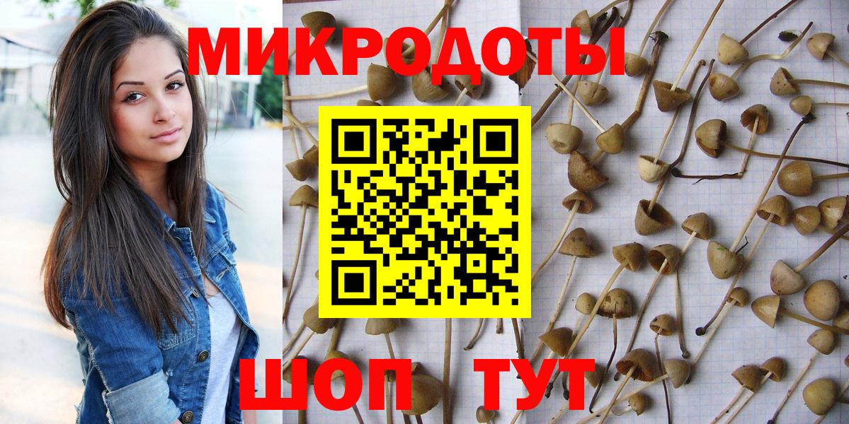 Галлюциногенные грибы Cubensis Хасавюрт