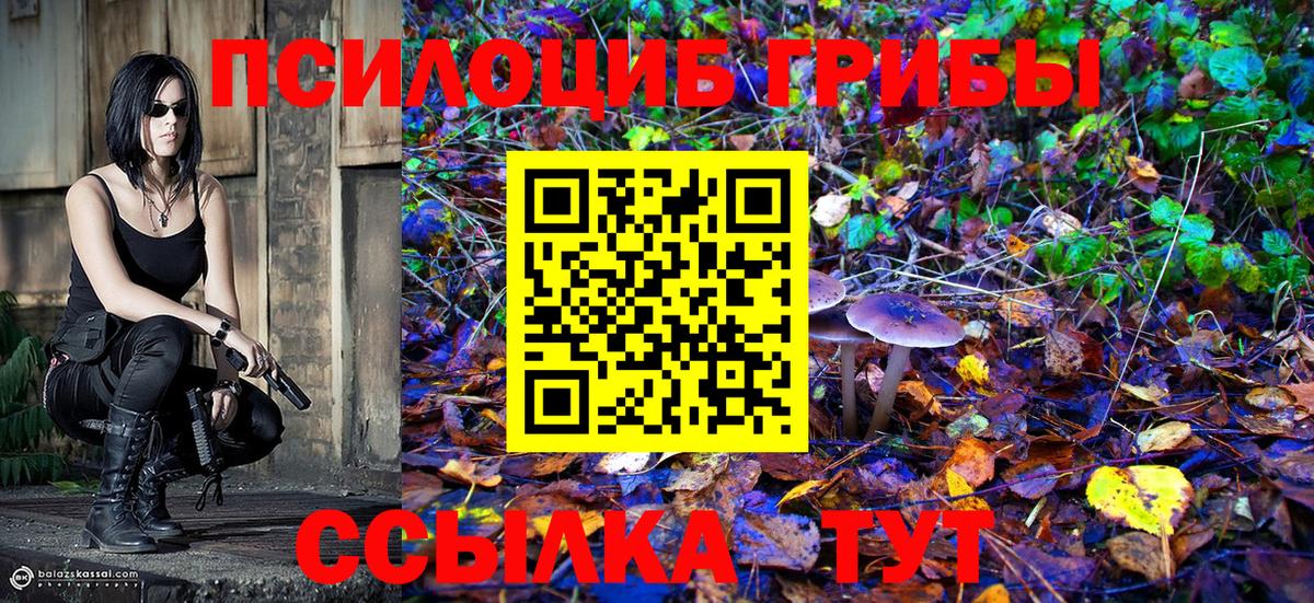 Галлюциногенные грибы прущие грибы  где можно купить   Хасавюрт  Вход с VPN 